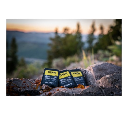 Карта памяти Sony SF-M Series UHS-II SDXC 512 Гб R/W 277/150 МБ/с SF-M512/T2 — купить в Москве