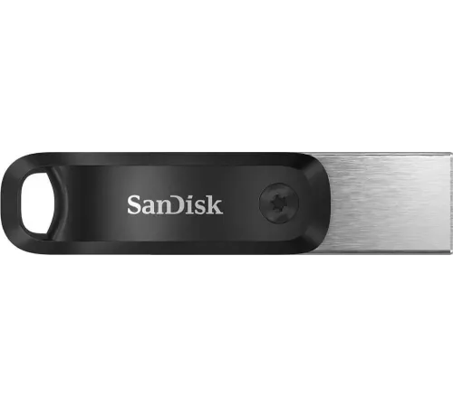 Флешка SanDisk iXpand GO 256ГБ Silver/Black — купить в Москве