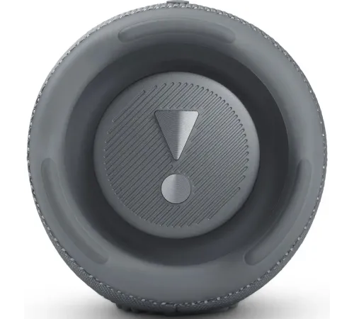 Колонка портативная JBL Charge 5, 40Вт, серый — купить в Москве