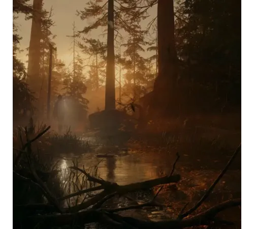 Игра Alan Wake 2 Deluxe для PS5 — купить в Москве