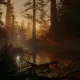Игра Alan Wake 2 Deluxe для PS5 — купить в Москве