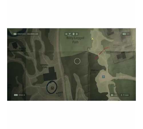 Игра Alan Wake 2 Deluxe для PS5 — купить в Москве