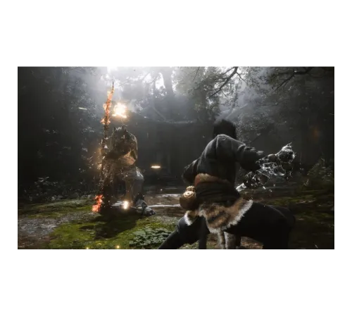 Игра Black Myth: Wukong - Deluxe Edition для PS5 — купить в Москве