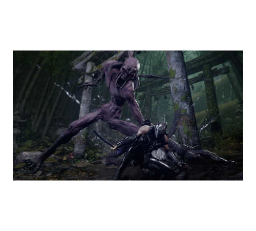 Игра NINJA GAIDEN 4 для PS5 — купить в Москве