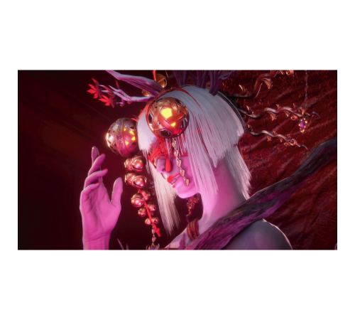 Игра NINJA GAIDEN 4 для PS5 — купить в Москве