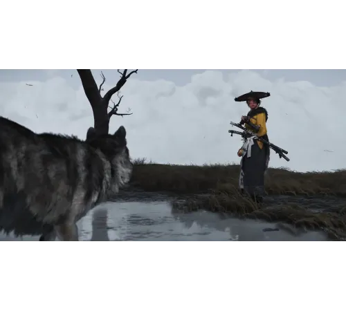 Игра Ghost of Yotei для PS5 — купить в Москве