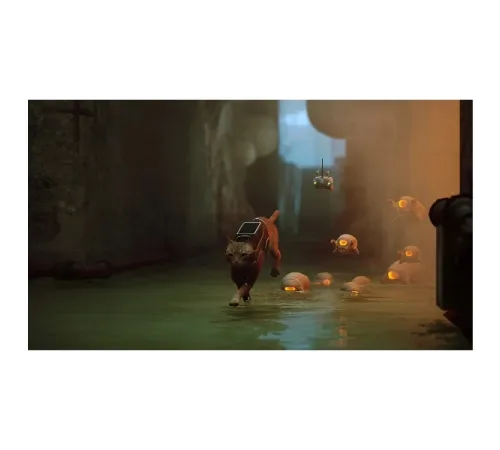 Игра Stray для PS5 — купить в Москве