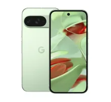 Смартфон Google Pixel 9, IN,12/256 Гб, Wintergreen (Зелёный)