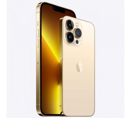 Смартфон Apple iPhone 13 Pro Max 256GB, Gold — купить в Москве