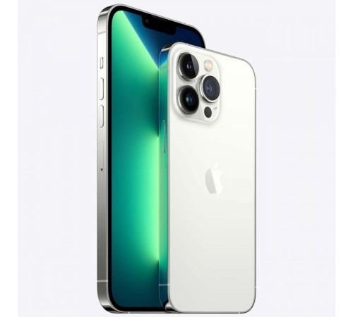 Смартфон Apple iPhone 13 Pro 1024GB, Silver — купить в Москве
