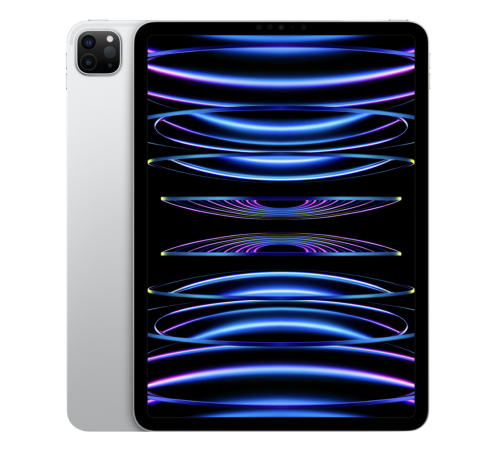 Планшет iPad Pro 11 2022, Wi-Fi, 1 Тб, серебристый — купить в Москве
