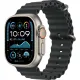 Смарт-часы Apple Watch Ultra 2 2024, 49 мм, LTE, Natural Titanium Case with Black Ocean Band, титан серый с черным ремешком — купить в Москве